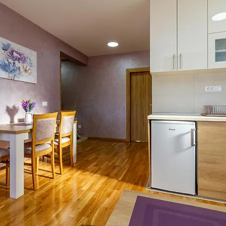 Apartment Nirvana 06 Zlatibor